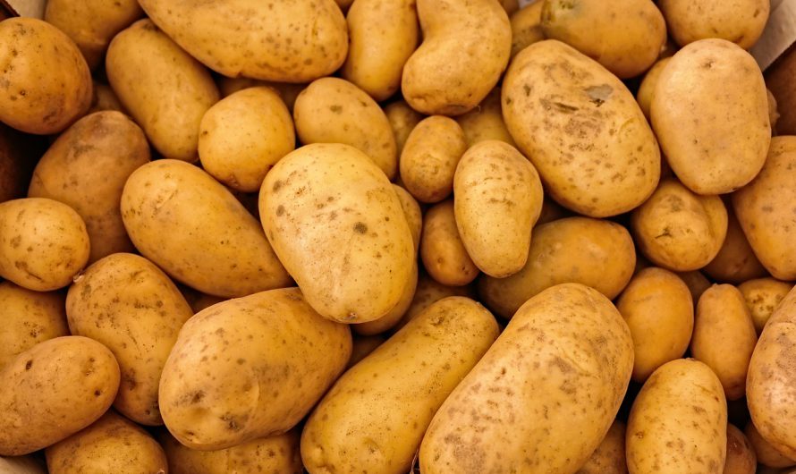 Welche Kartoffelsorten eignen sich am besten für Pommes?