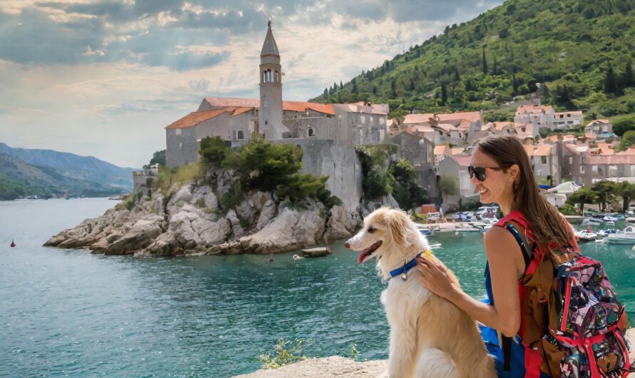 Kroatien: Ein Hundeparadies für den perfekten Urlaub mit Ihrem Vierbeiner